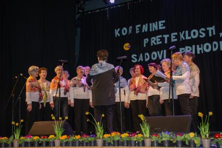 ‘‘Korenine preteklosti, sadovi prihodnosti” (31)